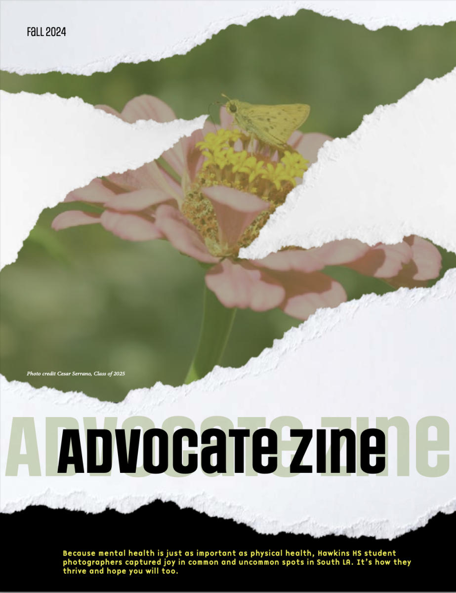 Advocate Zine Mental Health